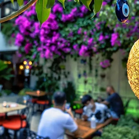 卡莱亦奇路线酒店 - 仅限成人（12岁以上） 2*