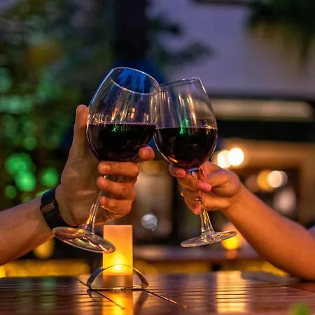 卡莱亦奇路线酒店 - 仅限成人（12岁以上） 2*