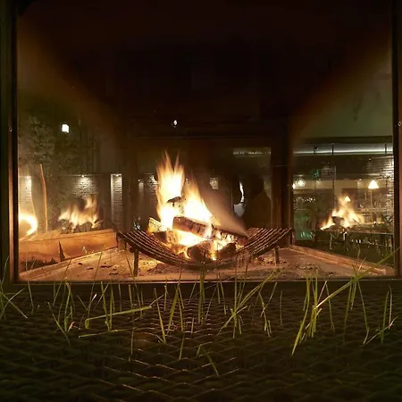 卡莱亦奇路线酒店 - 仅限成人（12岁以上） 酒店